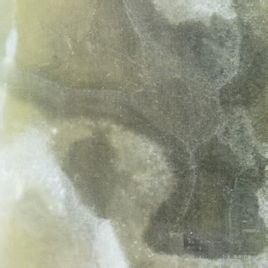 青绣玉