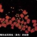橡胶制品