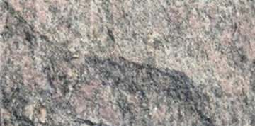 牡丹红蘑菇石