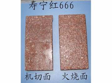 寿宁红G666