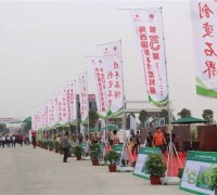 直击：2017海西国际石材荒料交易会新闻发布会