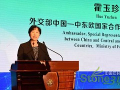 万祥军：融入中东欧合作战略，黄骅港万国石材城前途无限