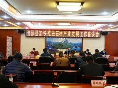 资源县召开加快推进石材产业发展工作座谈会