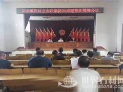 龙山镇石材企业污染防治推进会