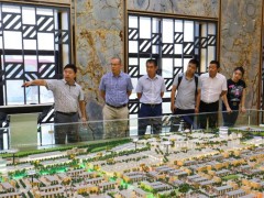 南安市副市长庄国阳考察麻城石材循环经济产业园