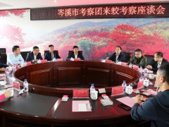 岑溪市委书记罗伟雄考察北部石材产业园