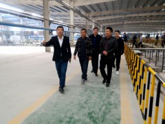 訚中乐带队到麻城白石镇考察石材绿色园区创建工作