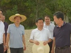 英山县委书记郑光文指导英山县石材产业园区建设工作