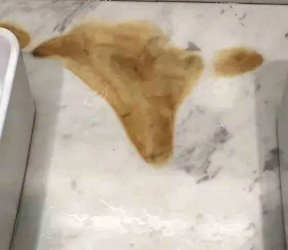 微信图片_20230424144247.jpg